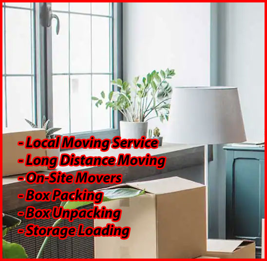 Packers And Movers Noida Sector 151